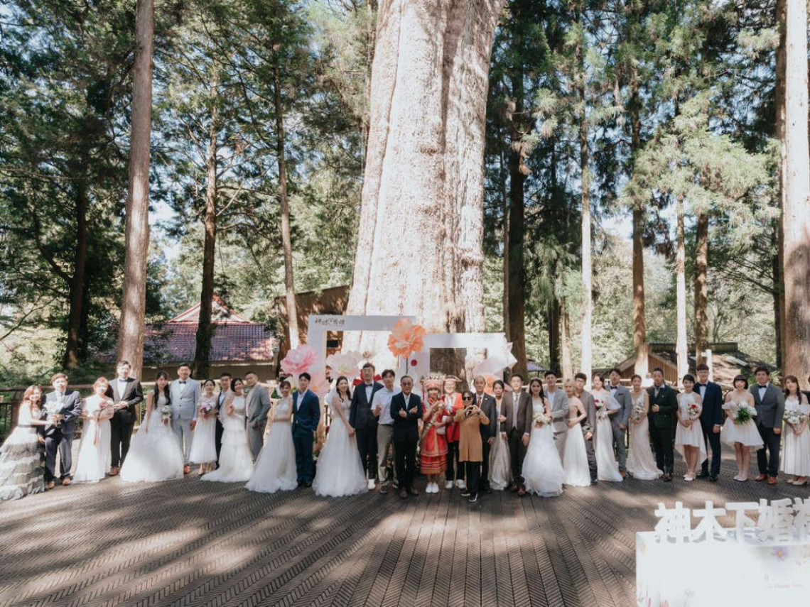 阿里山「神木下婚禮」超浪漫，連老外都愛！「浪漫產業鏈」年拚200萬遊客…證婚怎麼申請一次看